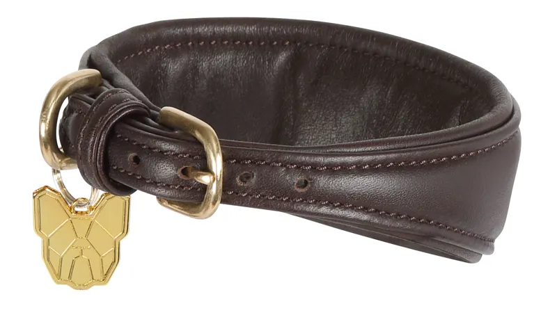 Digby and Fox Padded Greyhound Dog Collar in Brown